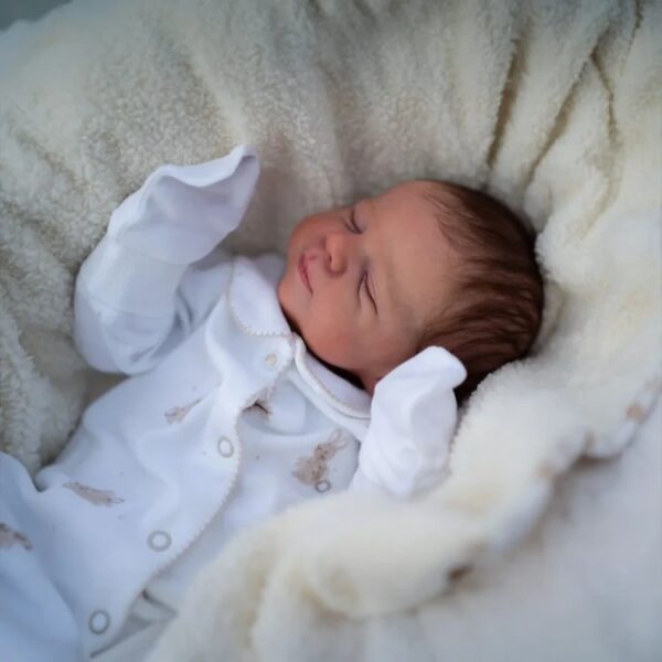Popular Reborns - Image 4